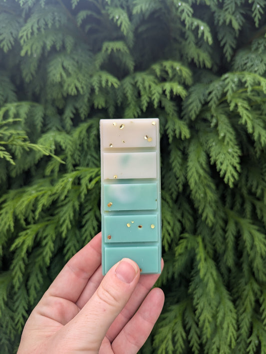 Winter Pine